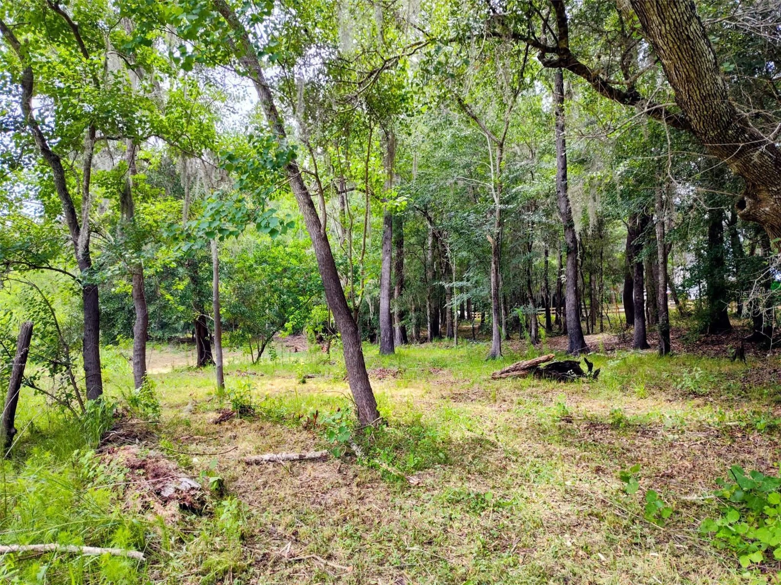 Fitzhugh Avenue Brooksville FL 34601 TB8517899 image8