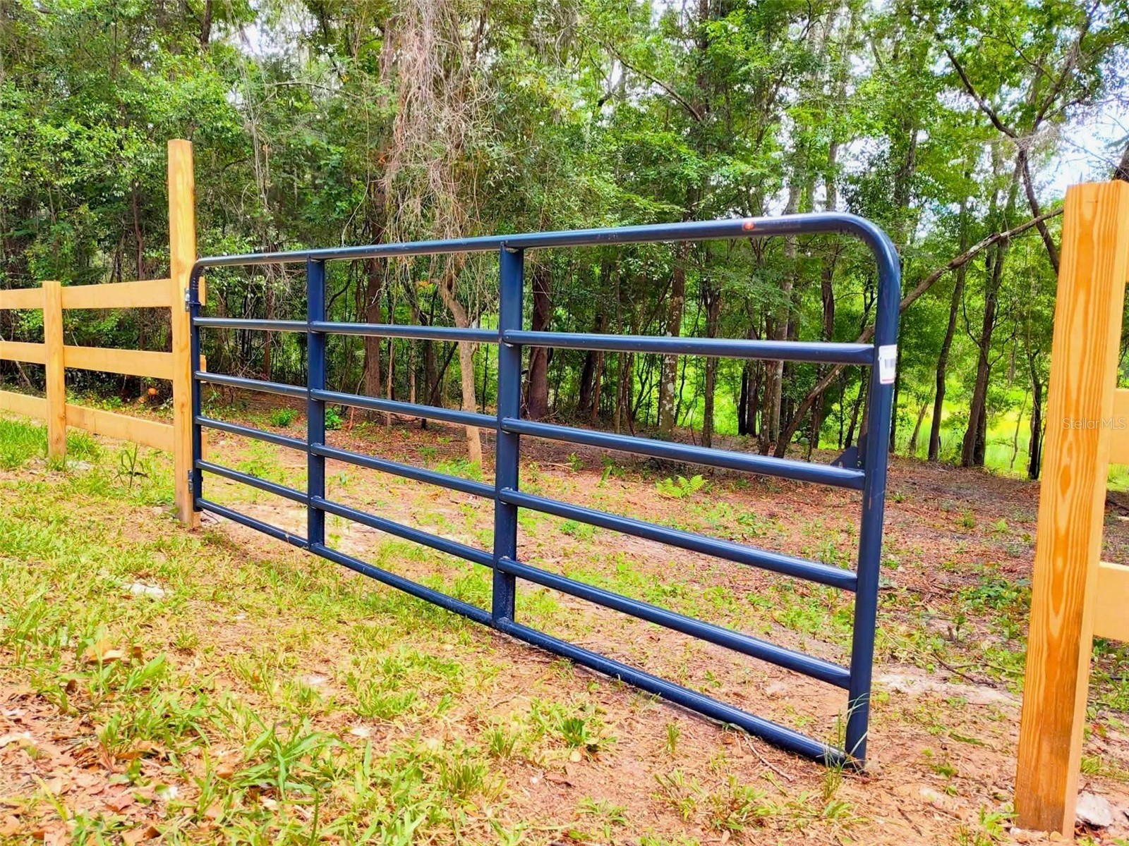 Fitzhugh Avenue Brooksville FL 34601 TB8517920 image1