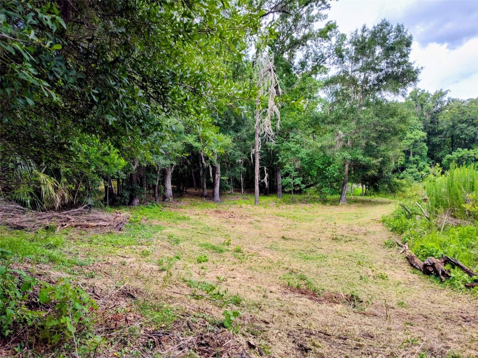 Fitzhugh Avenue Brooksville FL 34601 TB8517920 image6