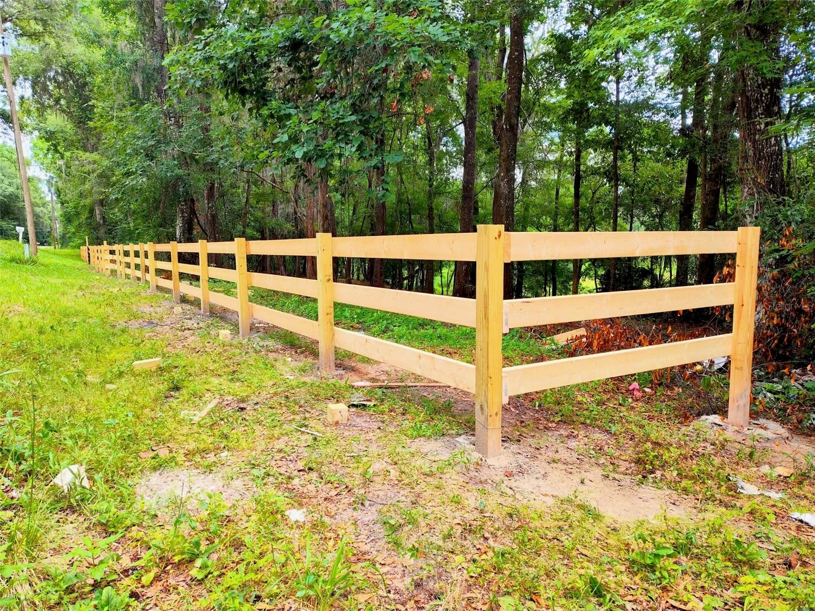 Fitzhugh Avenue Brooksville FL 34601 TB8517920 image9