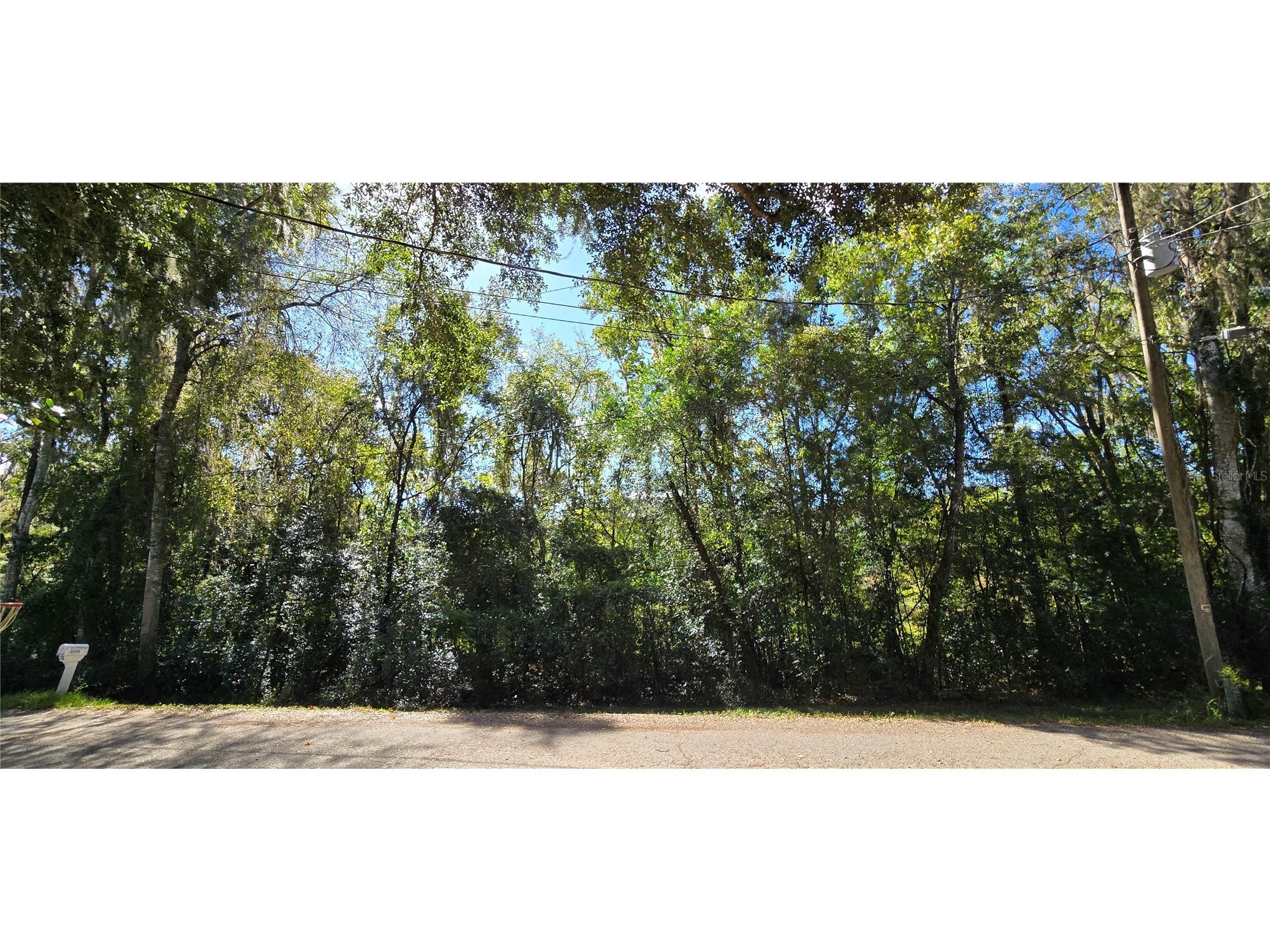 Fitzhugh Avenue Brooksville FL 34601 W7880200 image1