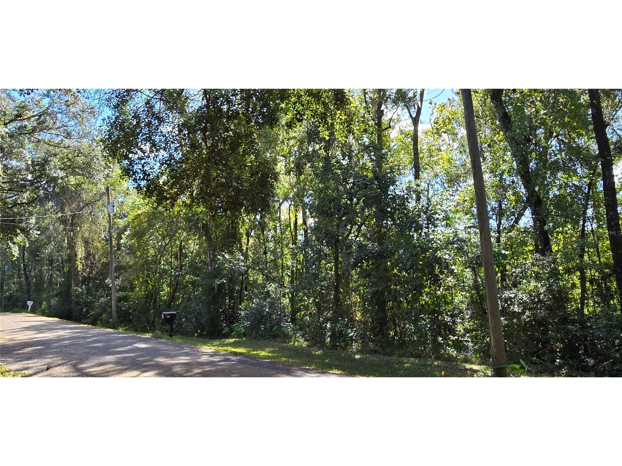 Fitzhugh Avenue Brooksville FL 34601 W7880201 image1