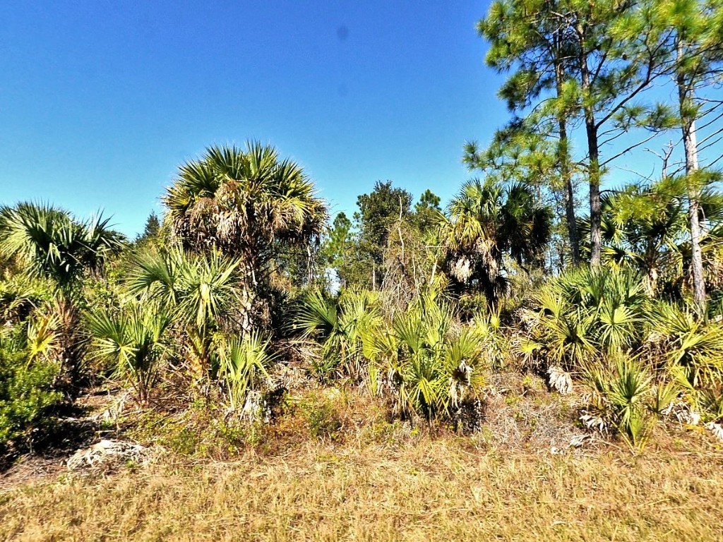 Fiveleaf Road North Port FL 34288 C7512885 image1