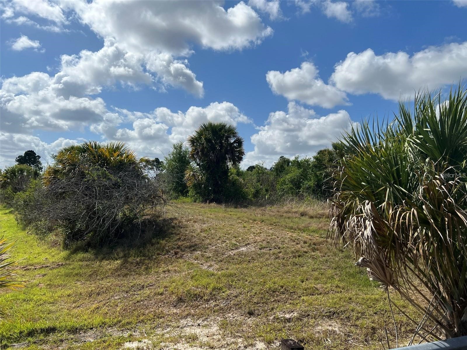 Fiveleaf Road North Port FL 34288 C7527917 image2