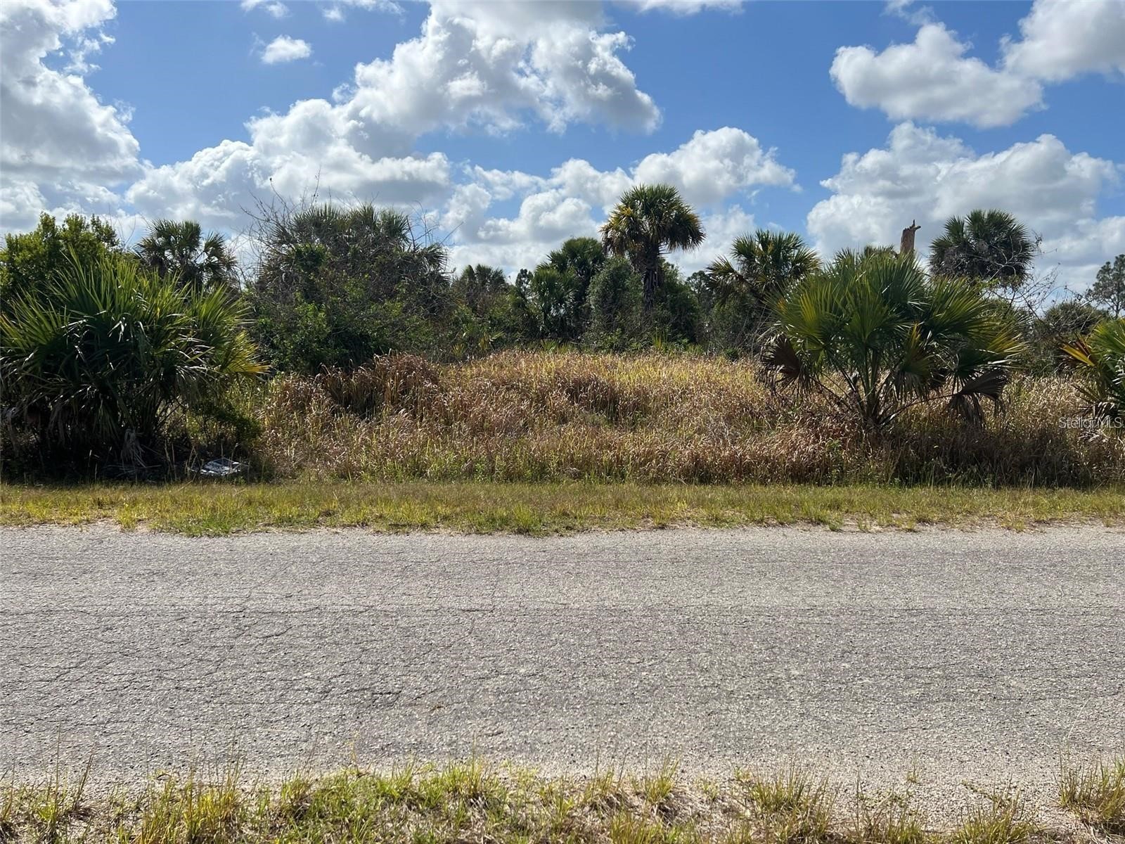 Fiveleaf Road North Port FL 34288 C7527917 image3