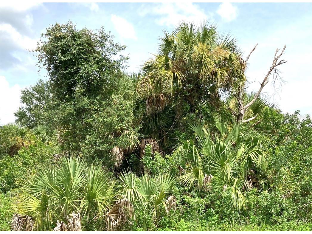 Fiveleaf Road North Port FL 34288 O5971819 image2