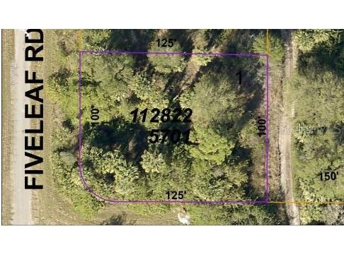 Fiveleaf Road North Port FL 34288 O6187560 image5