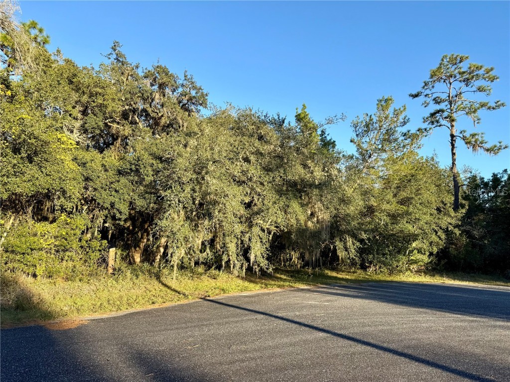 Flag Street Eustis FL 32736 O6359826 image2