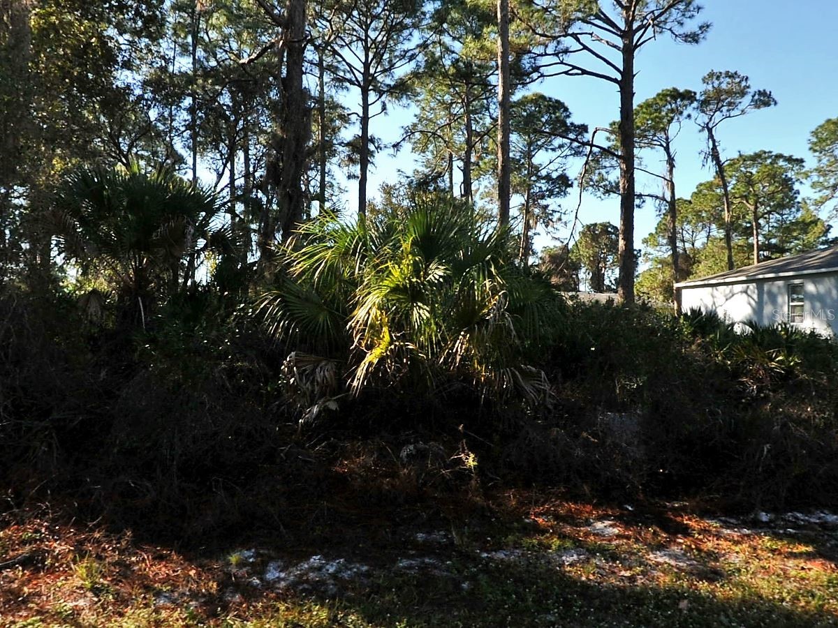 Flagami Lane North Port FL 34286 C7518085 image1