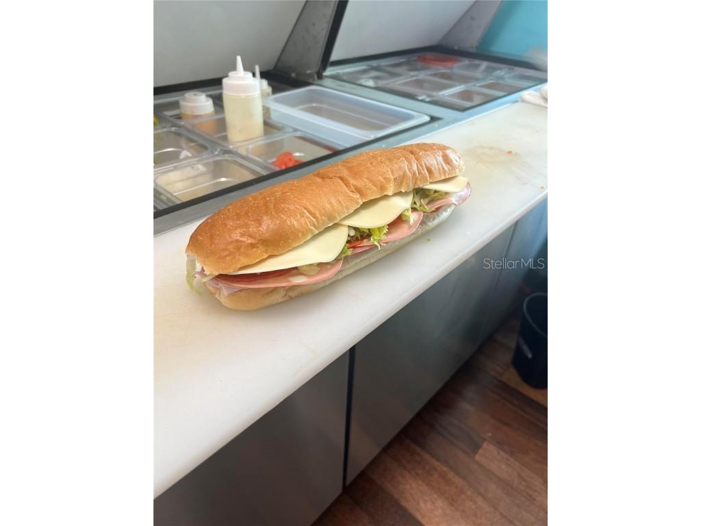  Flagler Beach FL 32136 FC294052 image1