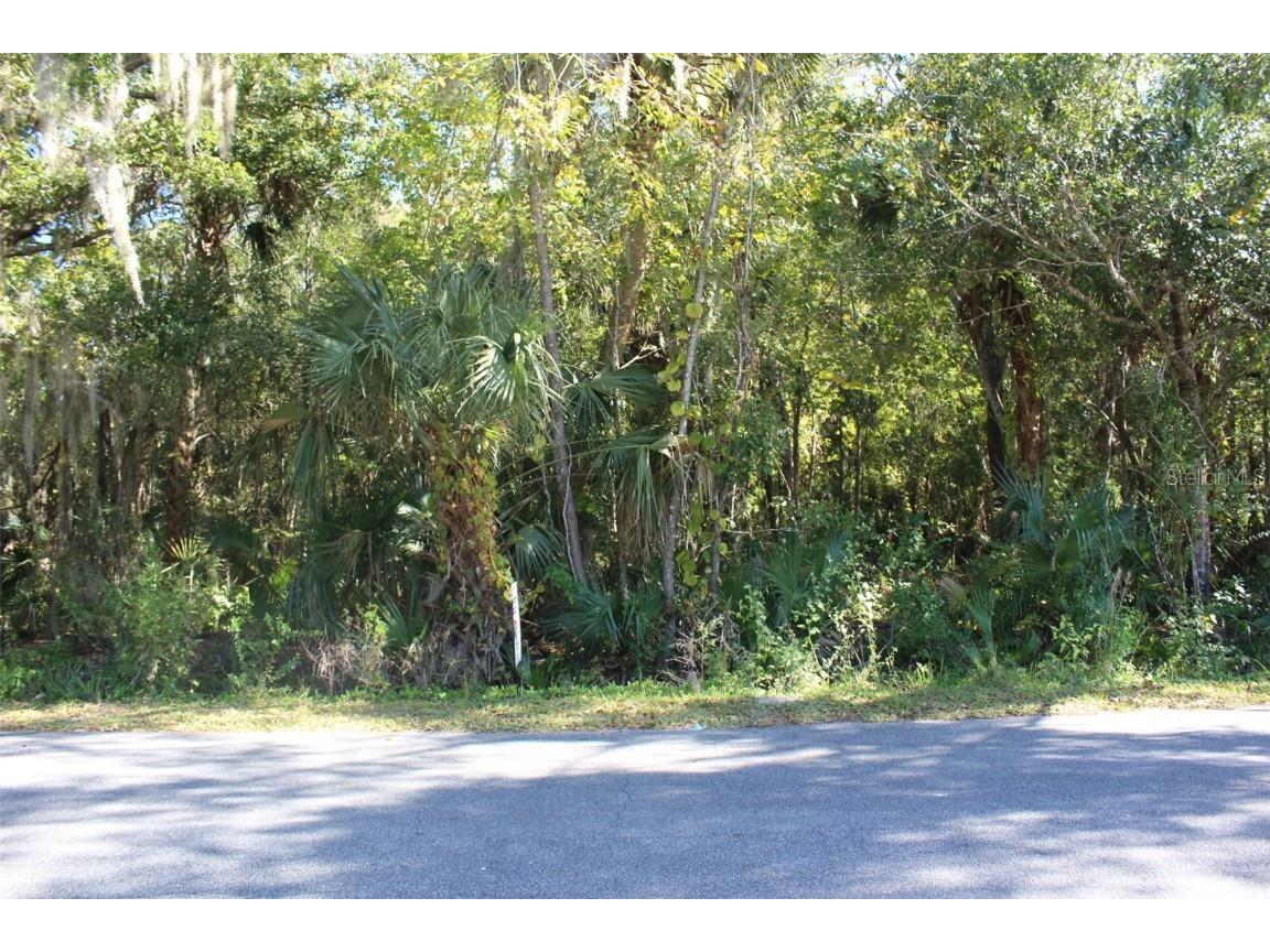 Flamingo Road Oak Hill FL 32759 V4928497 image1