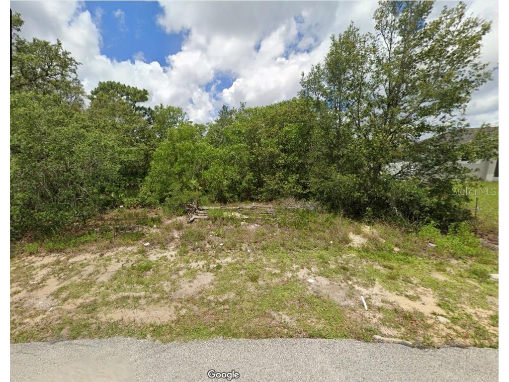 Flatfish Court Kissimmee FL 34759 O6329576 image1