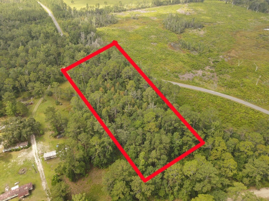 Flatwoods Road Monticello FL 32344 TB8404262 image1