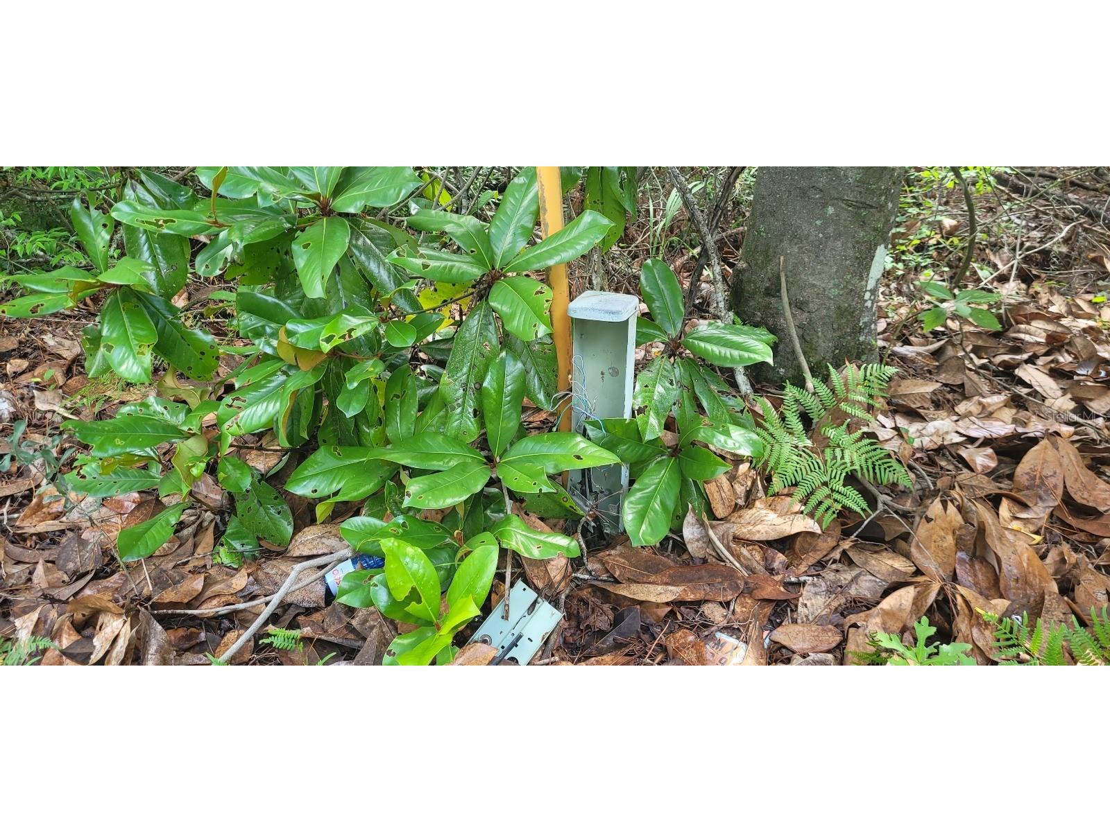 Flatwoods Road Monticello FL 32344 TB8404262 image11