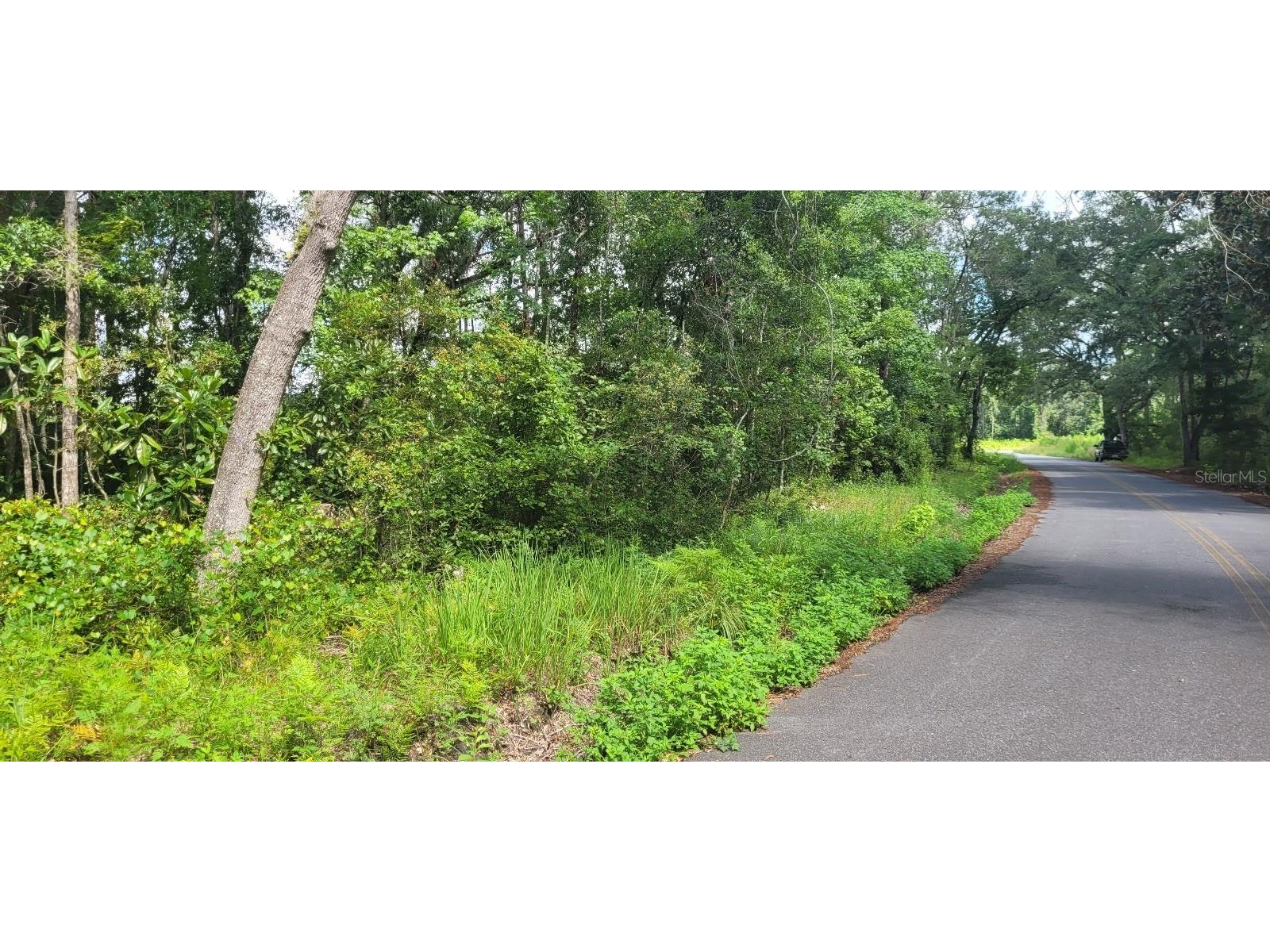 Flatwoods Road Monticello FL 32344 TB8404262 image3