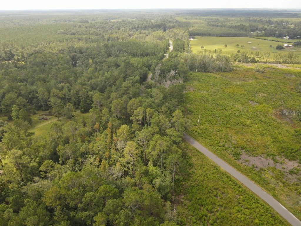 Flatwoods Road Monticello FL 32344 TB8404262 image6