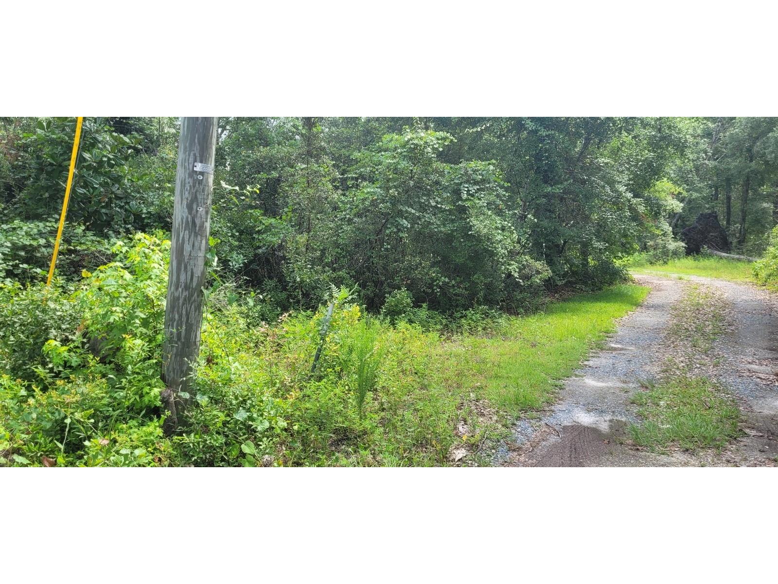 Flatwoods Road Monticello FL 32344 TB8404262 image7