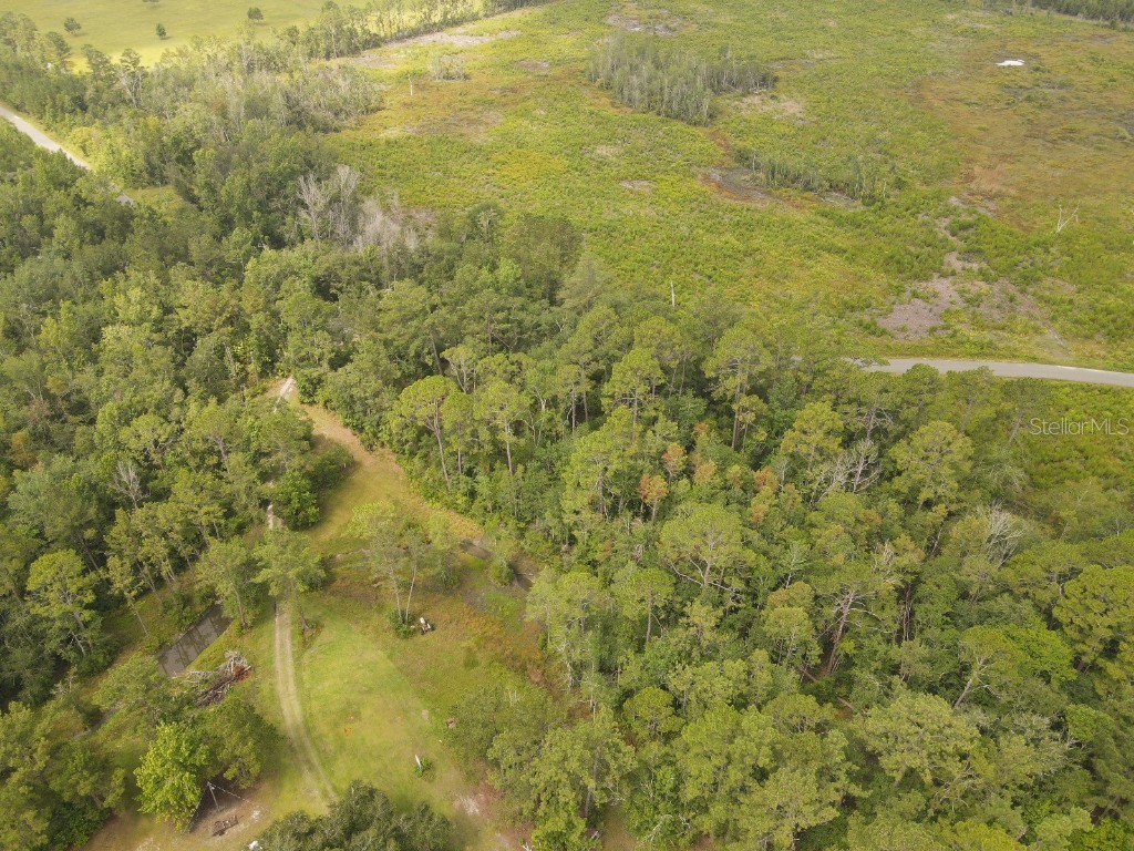 Flatwoods Road Monticello FL 32344 TB8404262 image8