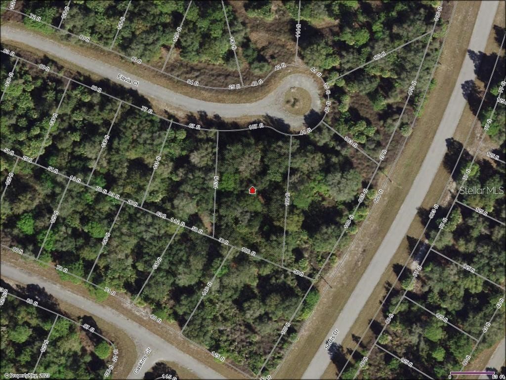 Flavia Court North Port FL 34288 C7511855 image2