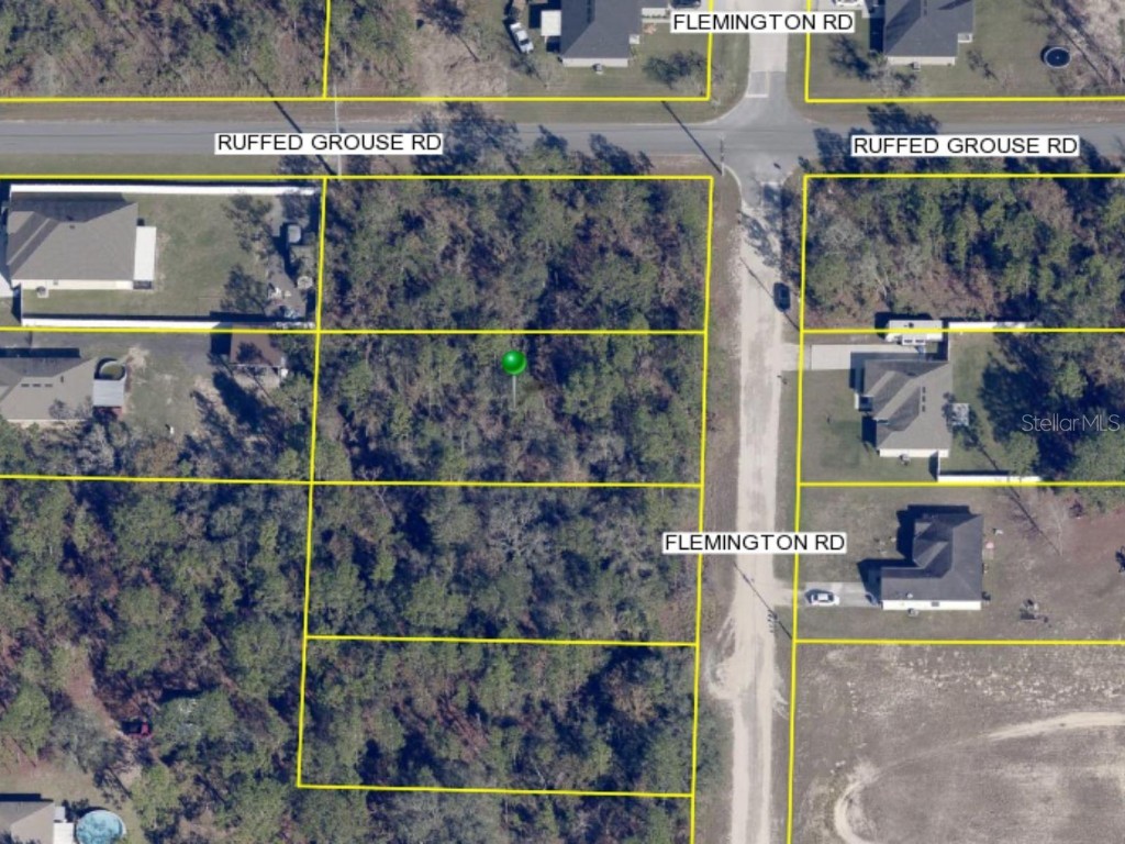 Flemington Weeki Wachee FL 34614 TB8356204 image1