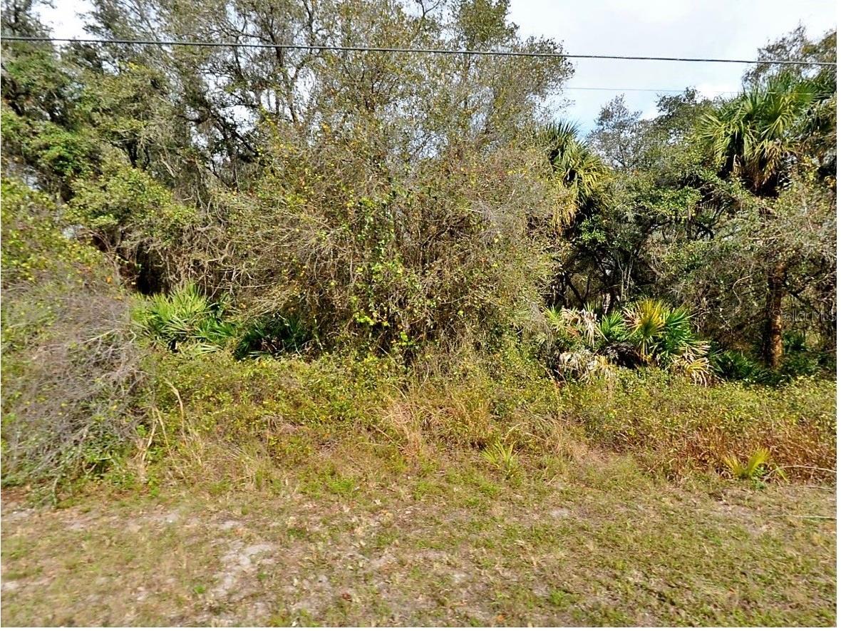Fling Ave. North Port FL 34291 A4692868 image1