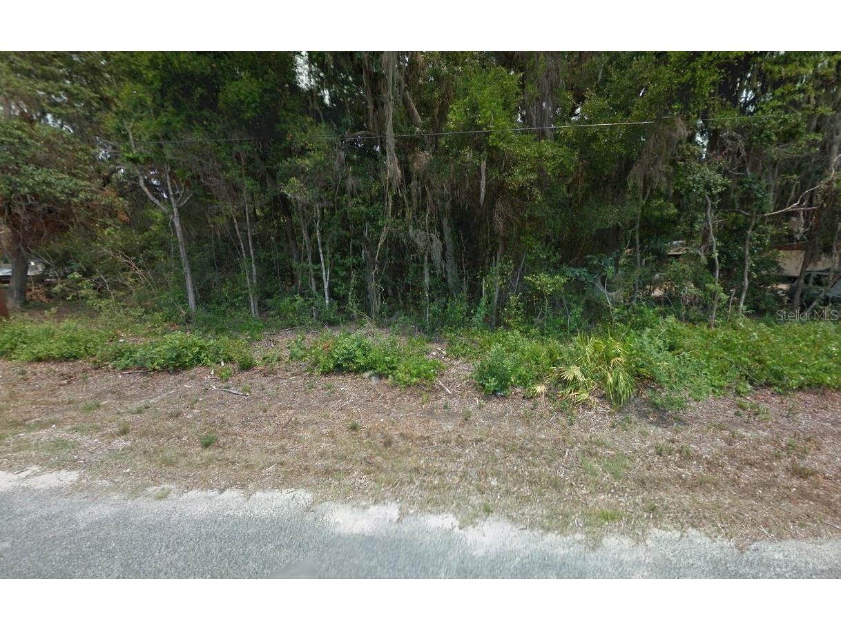 10521 E Rabbit Lane Floral City FL 34436 O6156077 image1