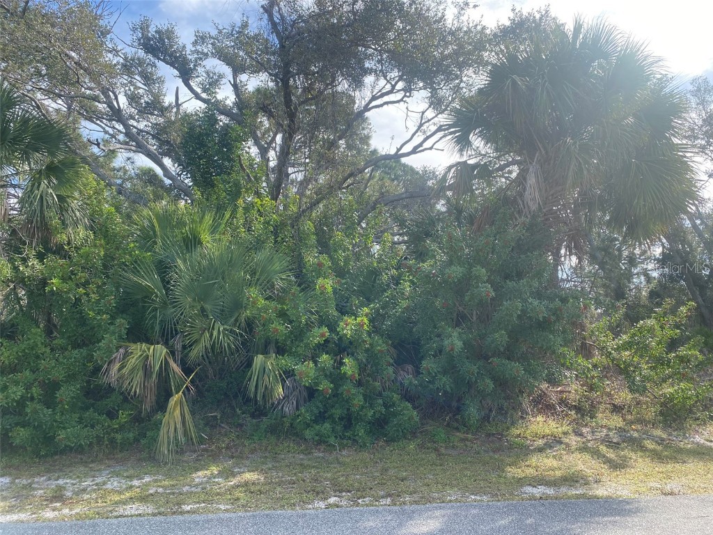 Florala Street North Port FL 34287 A4599212 image1