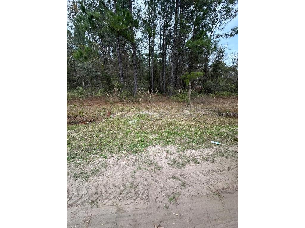 Florence Street Hastings FL 32145 FC298291 image1