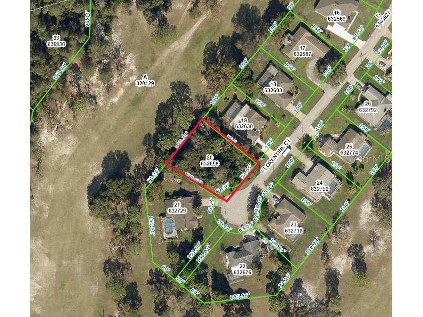 Florentine Spring Hill FL 34608 W7862785 image1