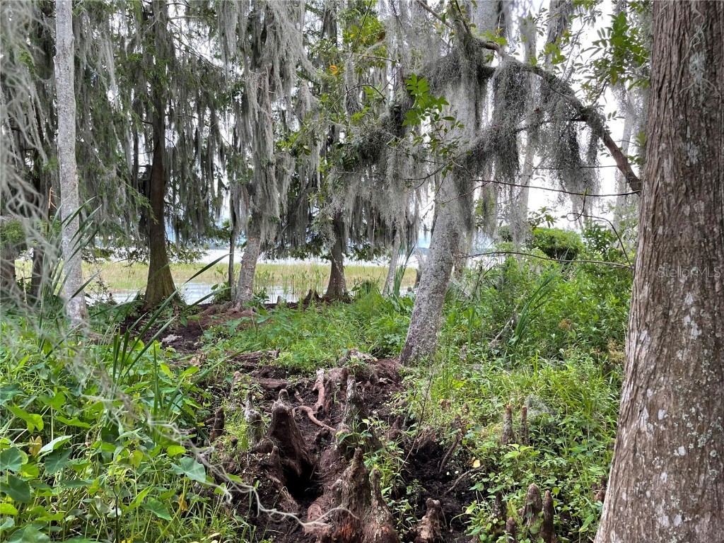 Florida Avenue Astatula FL 34705 - LAKE HARRIS G5043558 image1