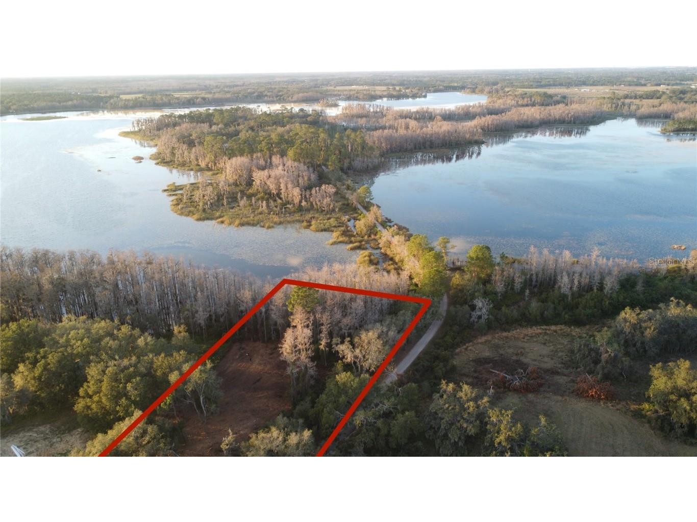 Florida Boys Ranch Road Groveland FL 34736 - PINE ISLAND LAKE O6282540 image10