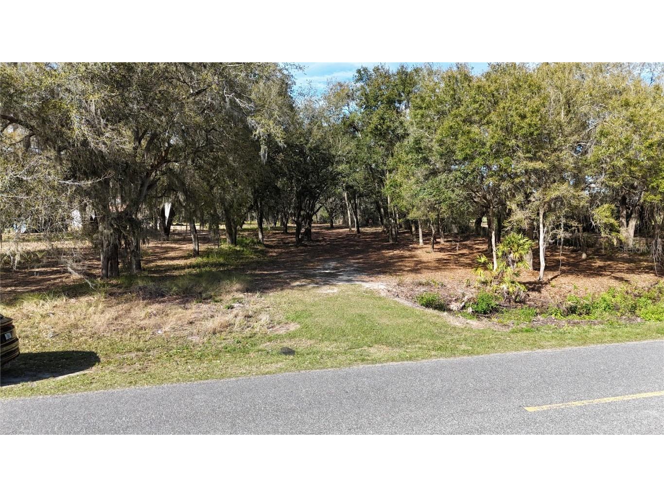 Florida Boys Ranch Road Groveland FL 34736 - PINE ISLAND LAKE O6282540 image14