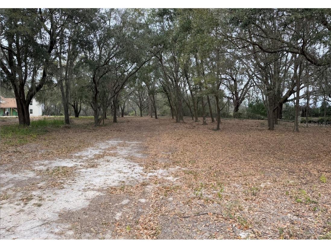 Florida Boys Ranch Road Groveland FL 34736 - PINE ISLAND LAKE O6282540 image15