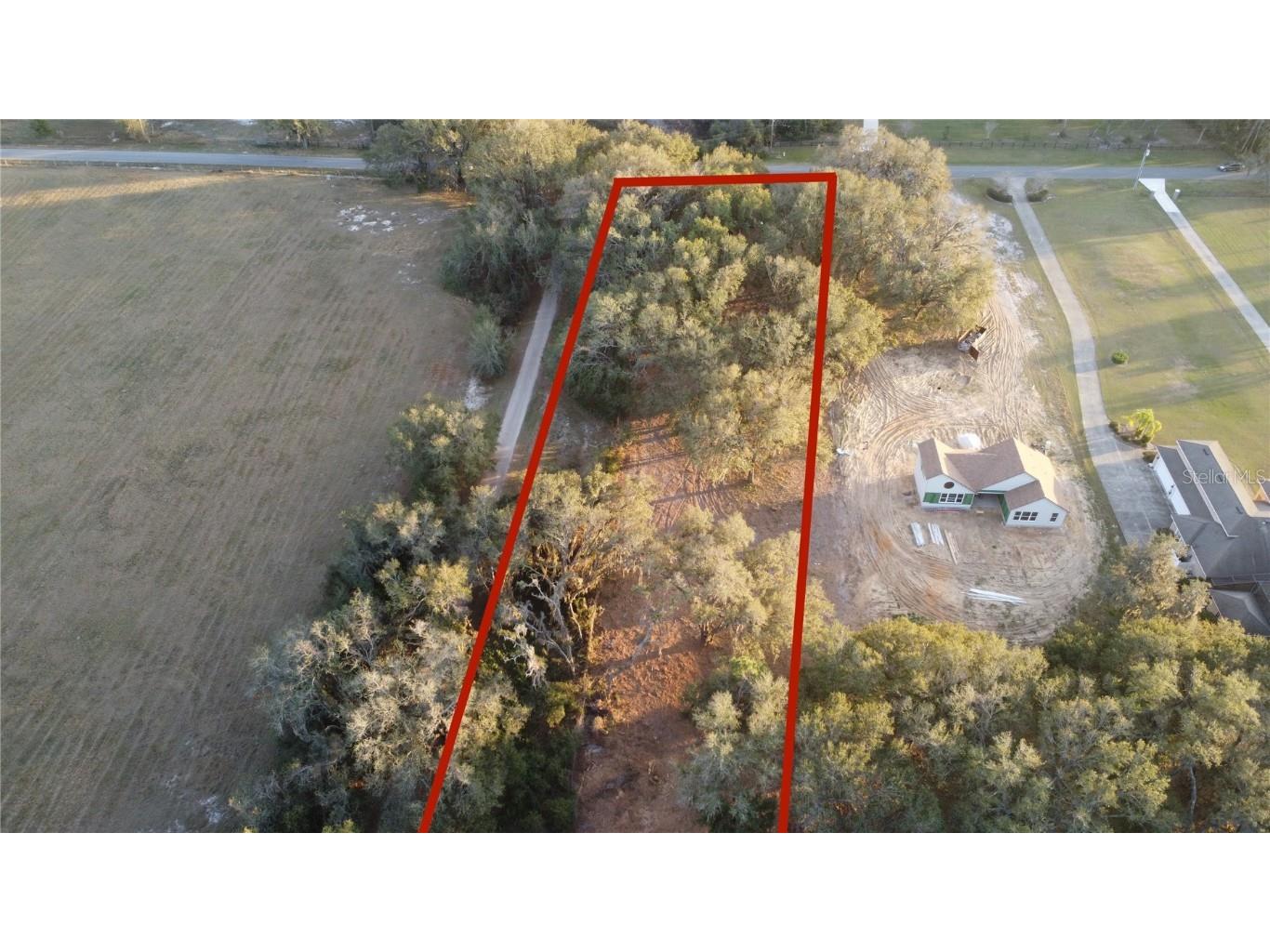 Florida Boys Ranch Road Groveland FL 34736 - PINE ISLAND LAKE O6282540 image2