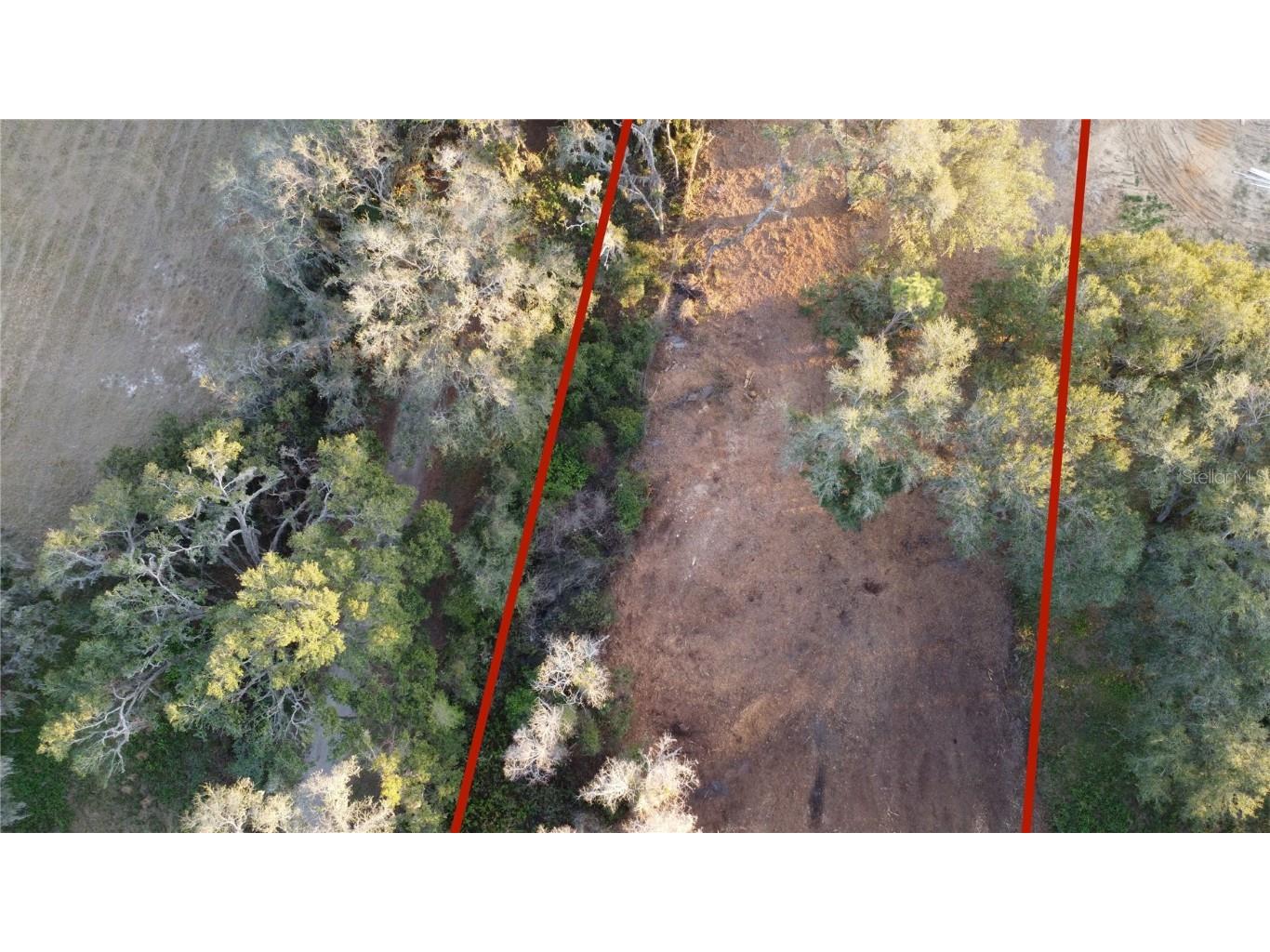 Florida Boys Ranch Road Groveland FL 34736 - PINE ISLAND LAKE O6282540 image3