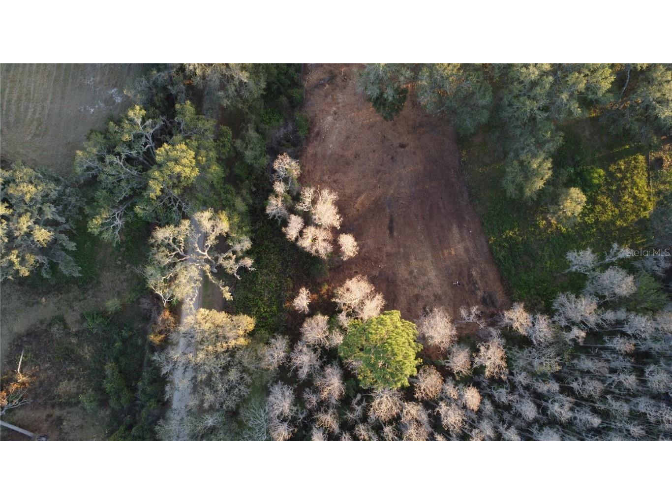 Florida Boys Ranch Road Groveland FL 34736 - PINE ISLAND LAKE O6282540 image4