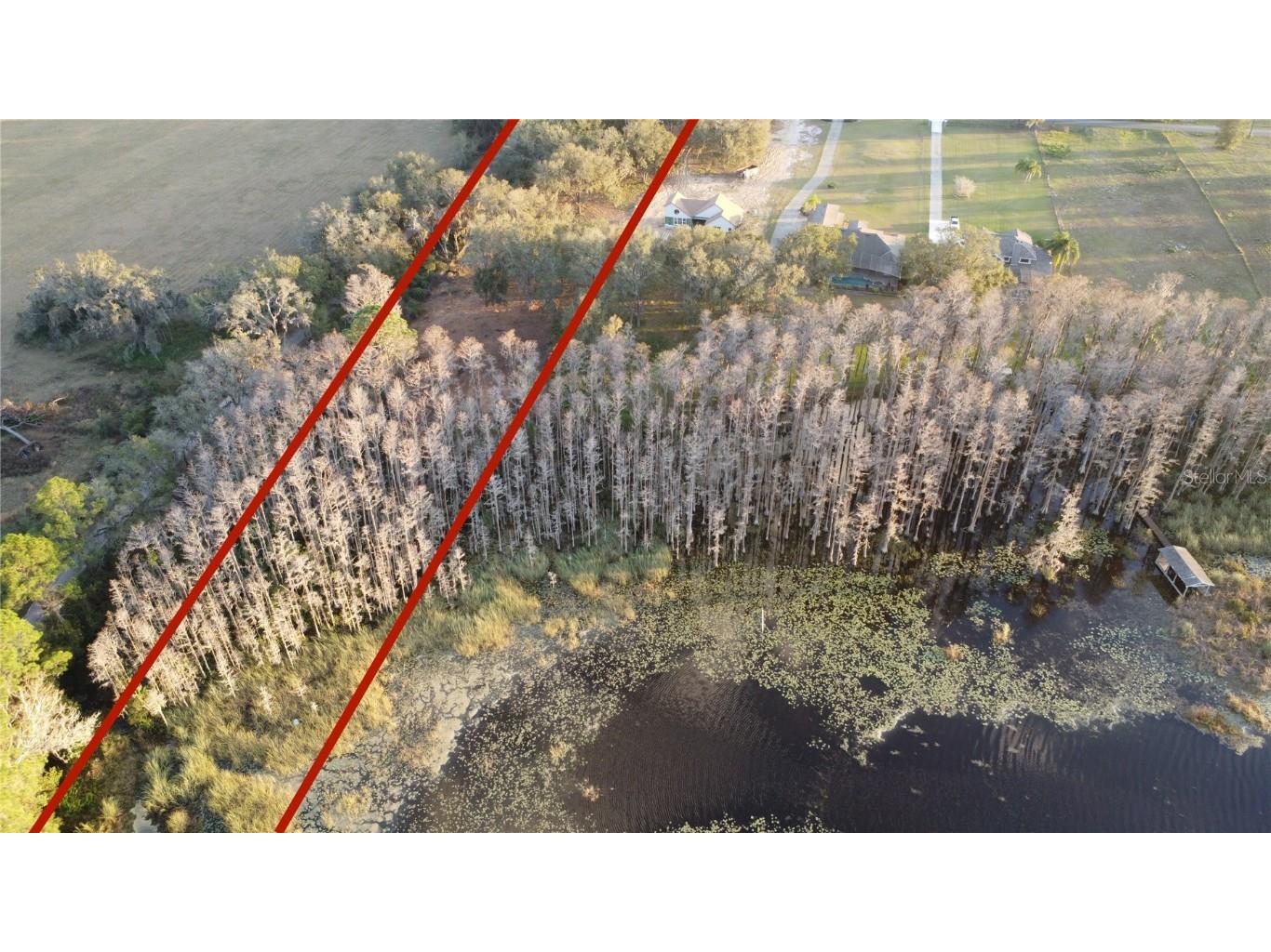 Florida Boys Ranch Road Groveland FL 34736 - PINE ISLAND LAKE O6282540 image6