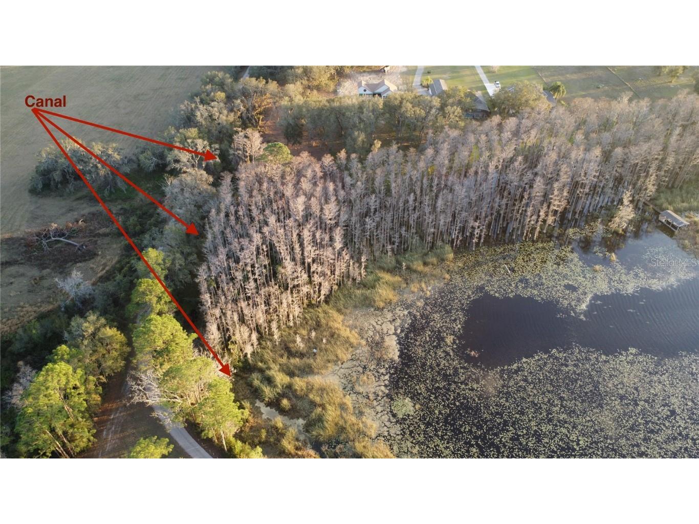 Florida Boys Ranch Road Groveland FL 34736 - PINE ISLAND LAKE O6282540 image7