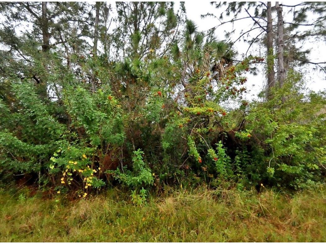 Florida Terrace North Port FL 34291 C7504539 image3