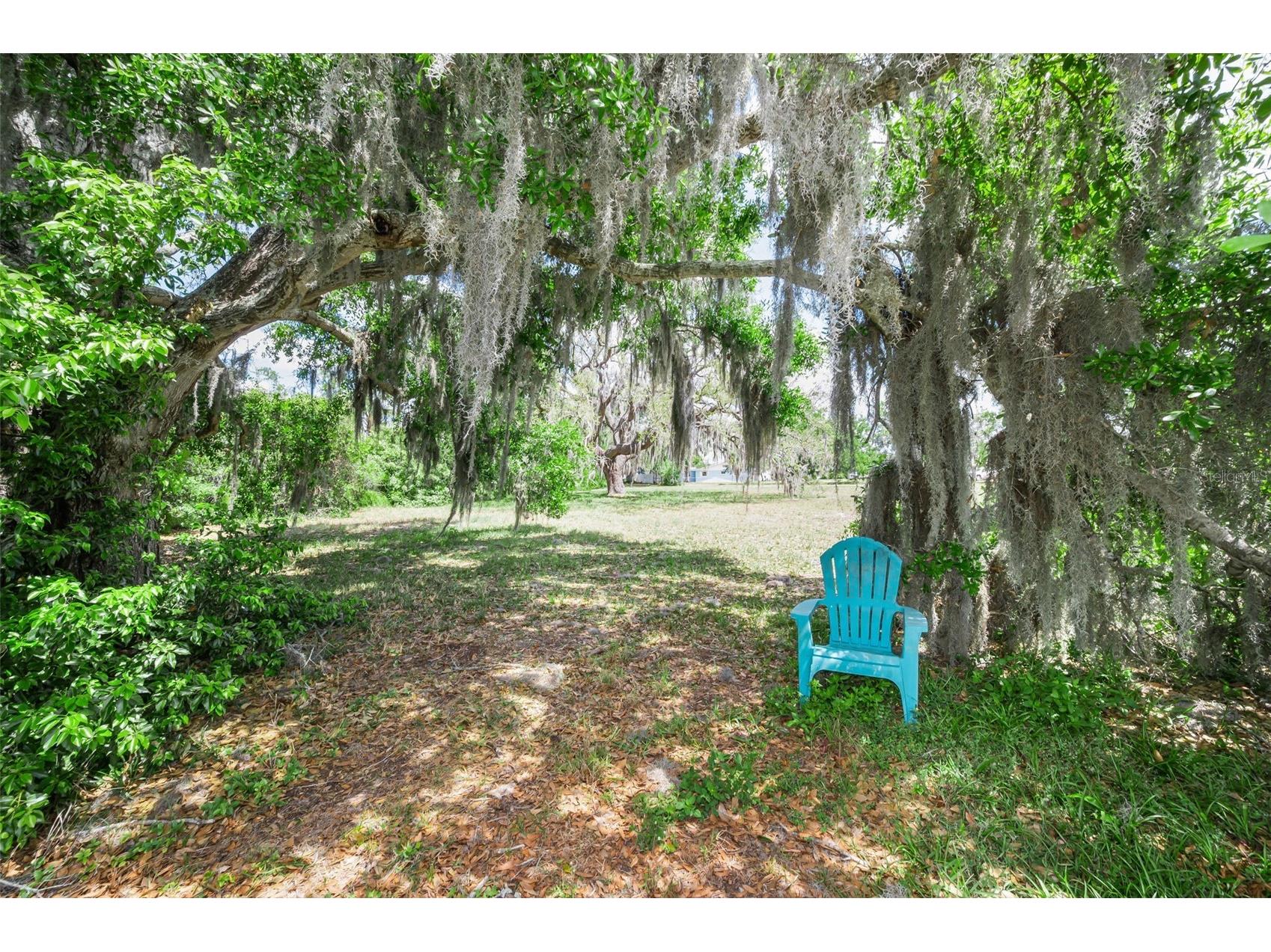 Flotilla Holiday FL 34690 - ANCLOTE TB8498330 image2