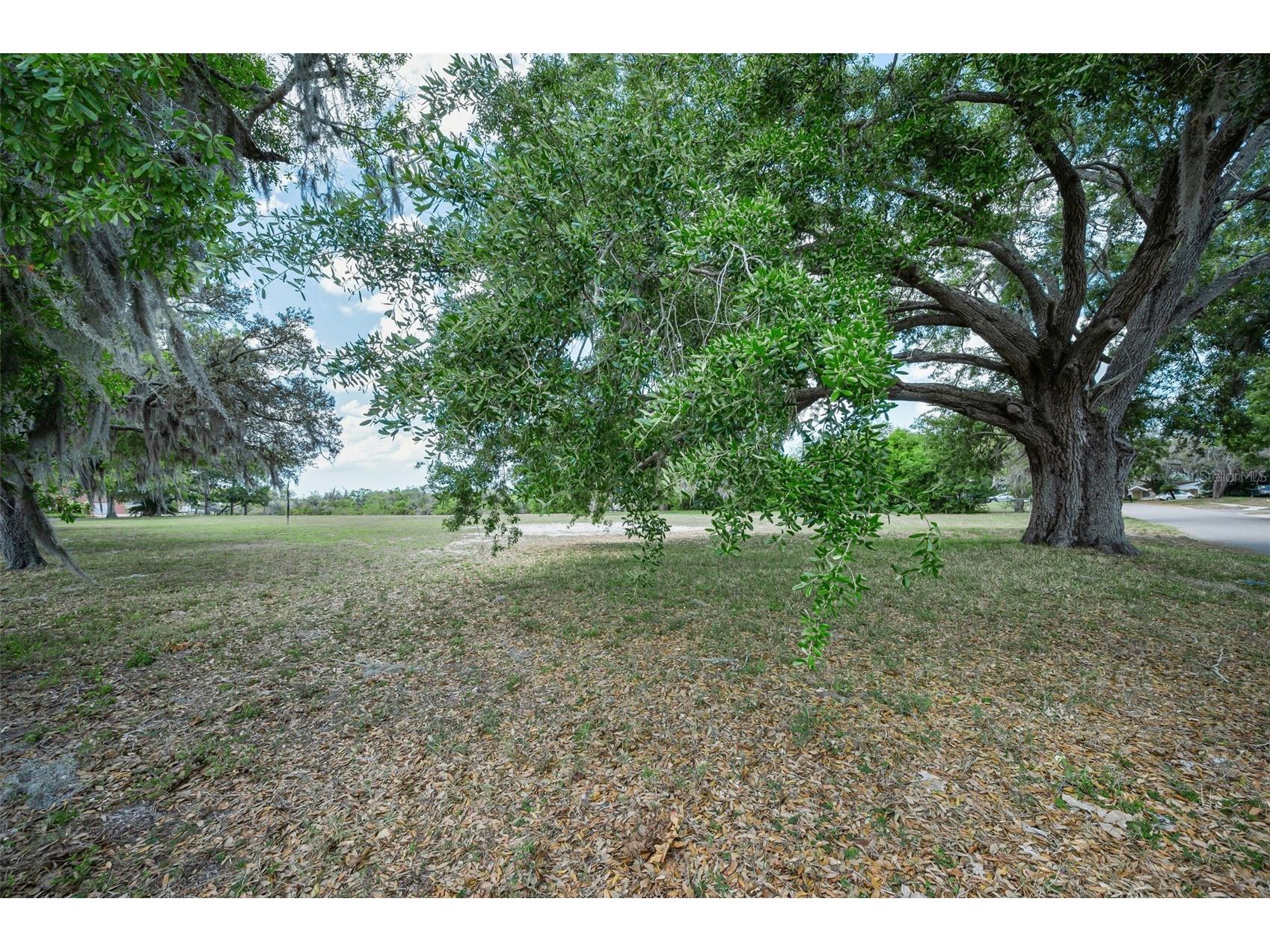 Flotilla Holiday FL 34690 - ANCLOTE TB8498330 image31