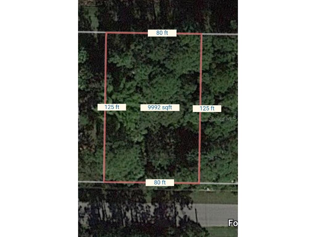 Fonsica Avenue North Port FL 34286 C7469485 image1