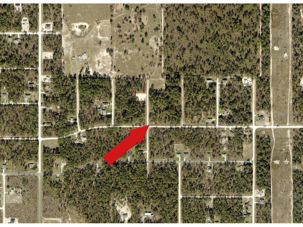 Force Road Weeki Wachee FL 34614 A4675559 image3