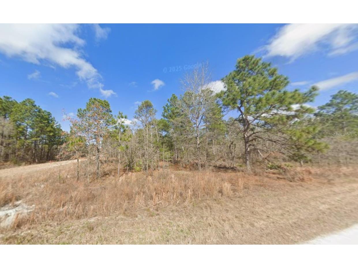 Force Road Weeki Wachee FL 34614 A4675559 image4