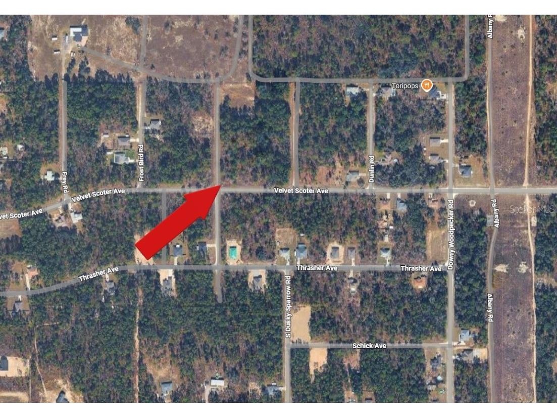 Force Road Weeki Wachee FL 34614 A4675559 image5