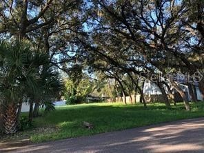 Forde Avenue Tarpon Springs FL 34689 W7859849 image1