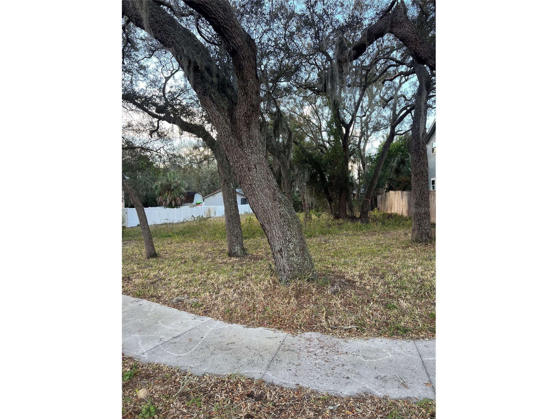 Forde Avenue Tarpon Springs FL 34689 W7882918 image3