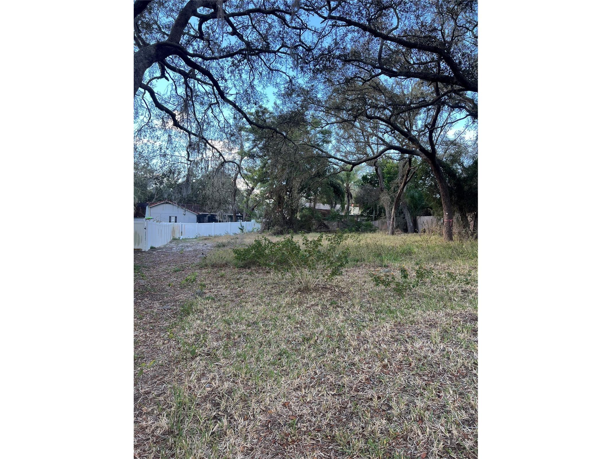 Forde Avenue Tarpon Springs FL 34689 W7882918 image4