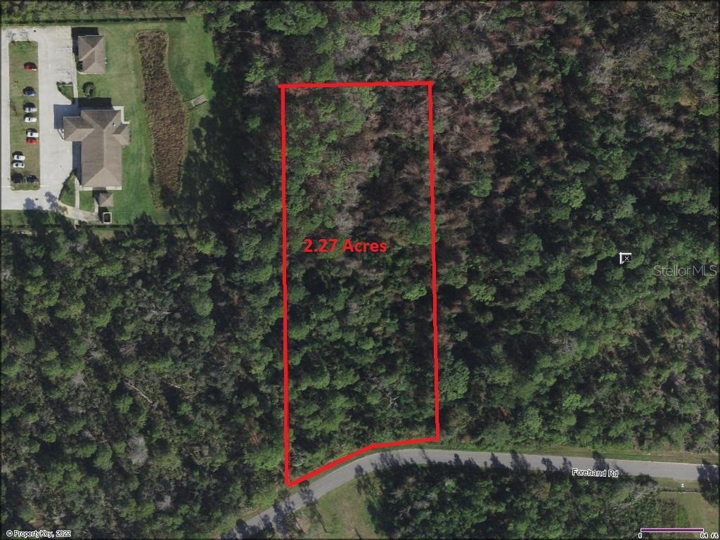 Forehand Road Davenport FL 33896 S5122343 image4