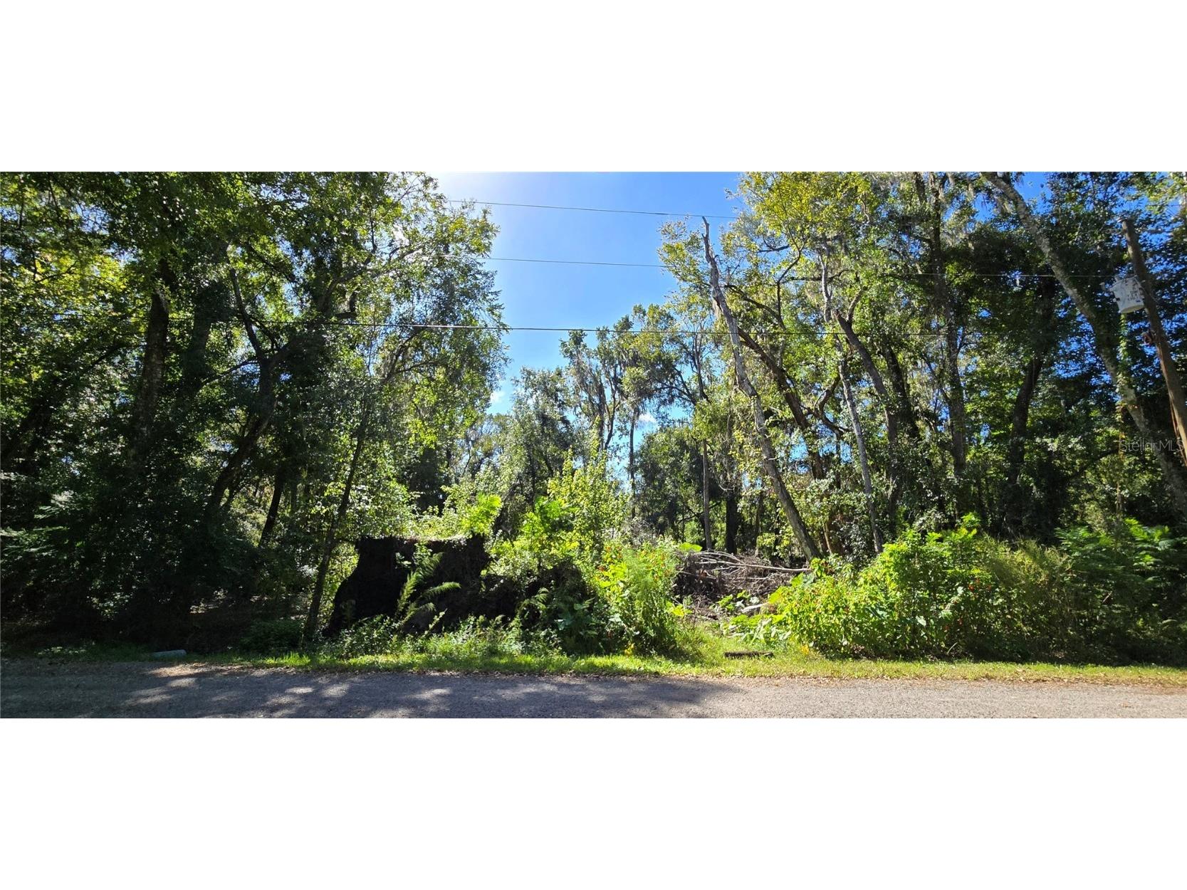 Foreside Avenue Brooksville FL 34601 W7880203 image1